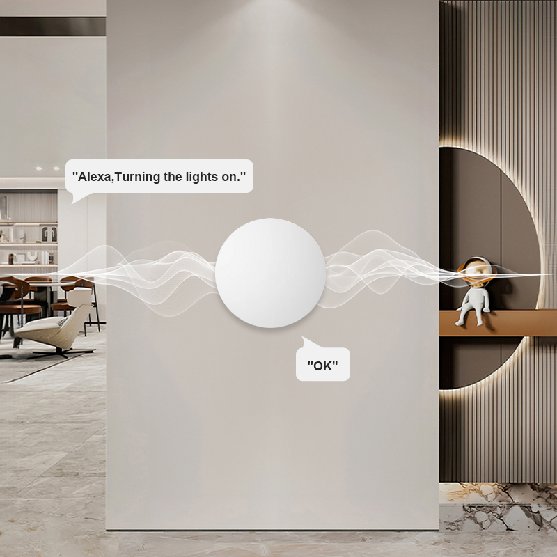 ZigBee Smart Wireless Button S - Diy Electronics Button review and price